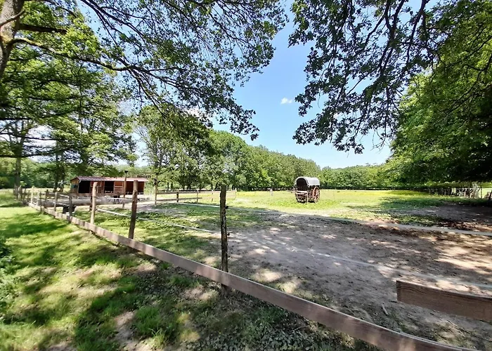 La Cabane Du Cowboy