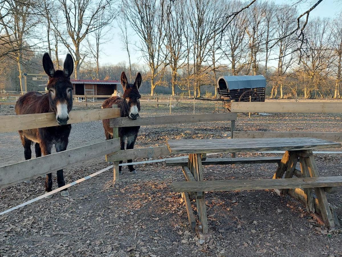Holiday home La Du Cowboy *