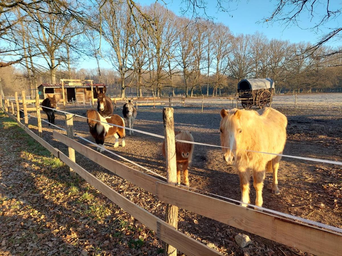 La Du Cowboy Holiday home